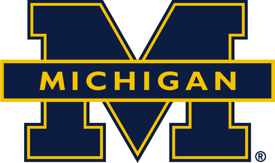 Michigan Wolverines 2016-Pres Secondary Logo v3 iron on transfers for clothing